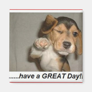 enjoy day magnet