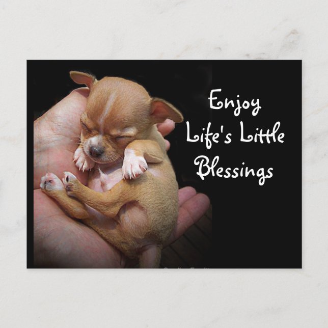 Enjoy Life's Little Blessings Postcard (Front)