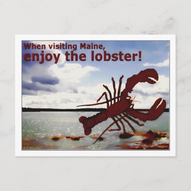 Enjoy Maine Lobster! Postcard (Front)