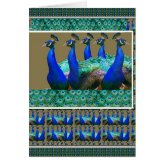 Enjoy:  PEaCOCK n Feathers Art Graphics