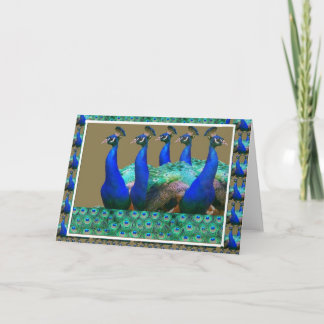 Enjoy: PEaCOCK n Feathers Art Graphics Card