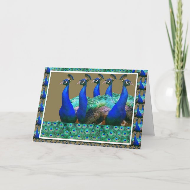Enjoy:  PEaCOCK n Feathers Art Graphics Card (Front)
