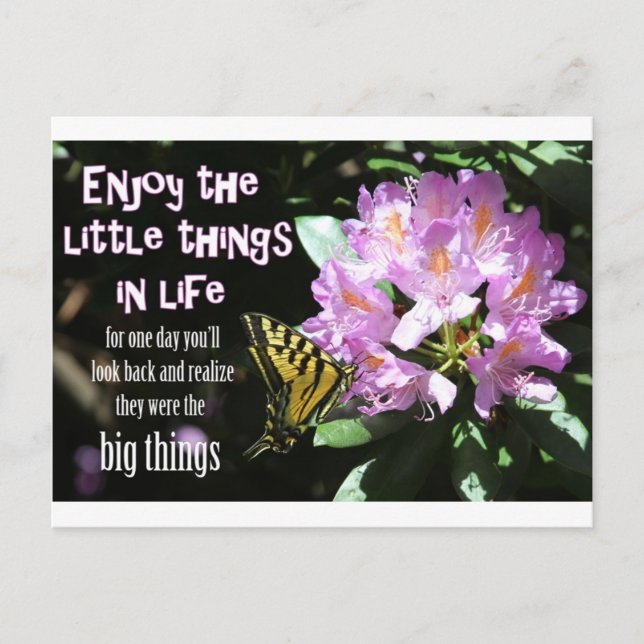 Enjoy the Little Things in Life Postcard (Front)