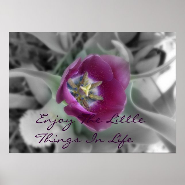 Enjoy The Little Things In Life Poster (Front)