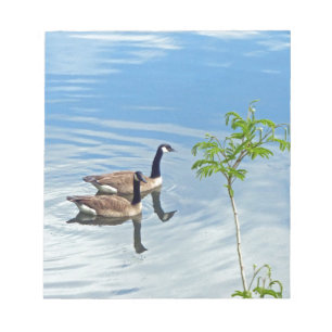 Enjoying a Swim Notepad
