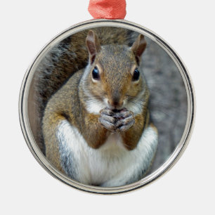 Enjoying a Treat Metal Tree Decoration