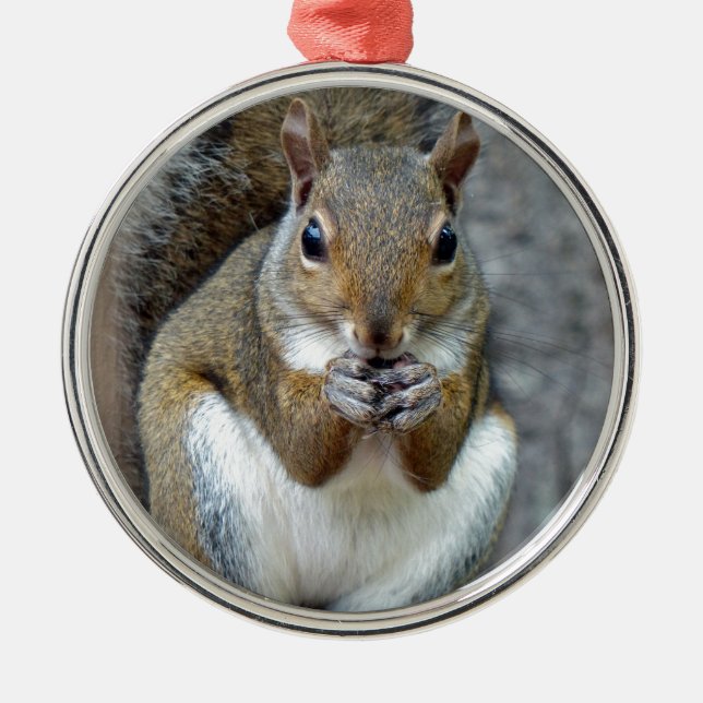 Enjoying a Treat Metal Tree Decoration (Front)