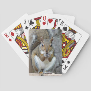 Enjoying a Treat Playing Cards