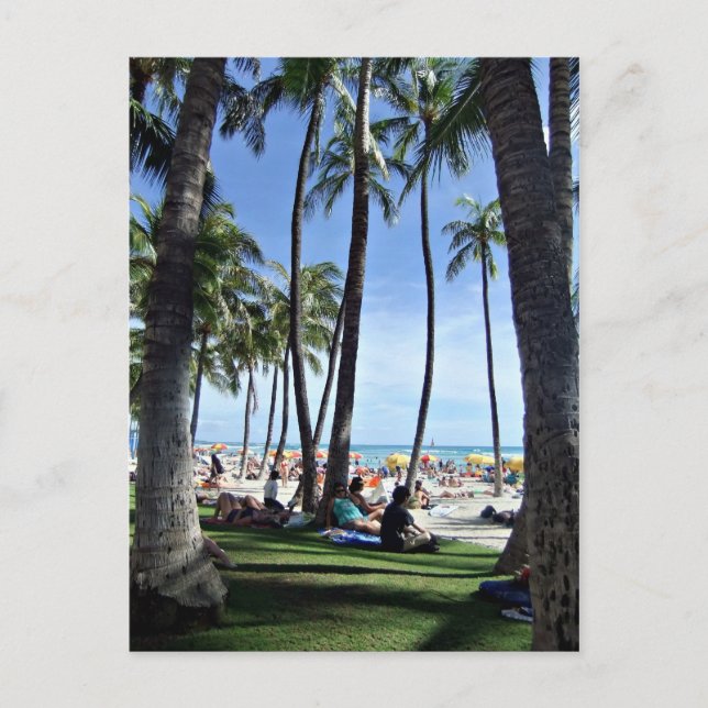 Enjoying Waikiki Beach Postcard (Front)