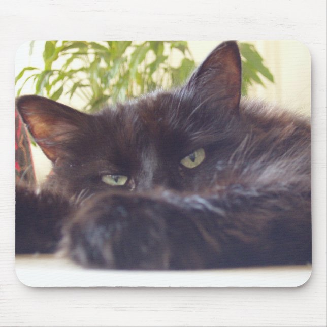 Enjoying your mouse mouse pad (Front)