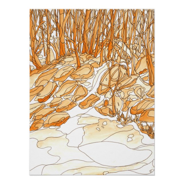 Eno River #35 Poster (Front)