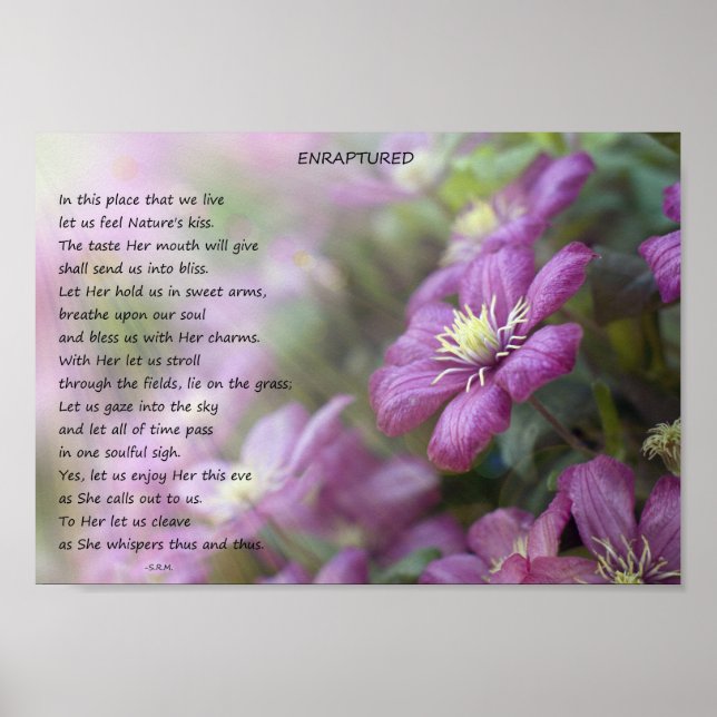 Enraptured Poster (Front)