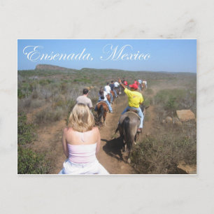 Ensenada, Mexico Postcard