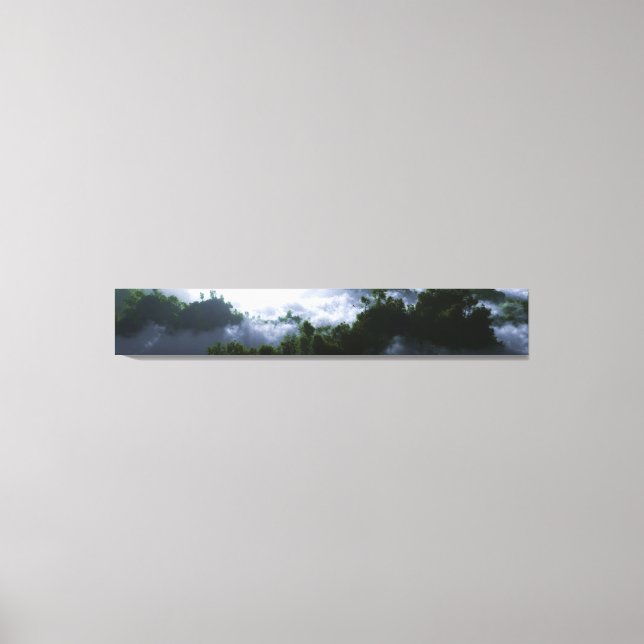 Enshrouded Panorama Canvas Print (Front)