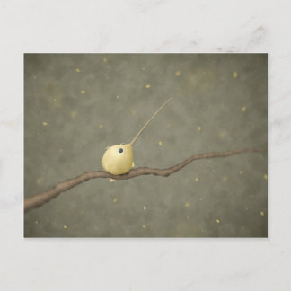 Ensifera ensifera (Sword-billed Hummingbird) Postcard