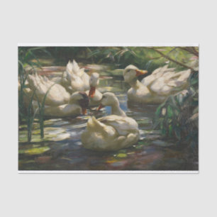 Enten Auf Dem Waldweiher by Alexander Koester Tissue Paper