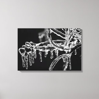 enter icy winter canvas print