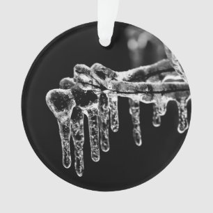 enter icy winter ornament