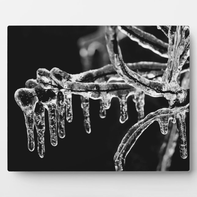 enter icy winter plaque (Front)