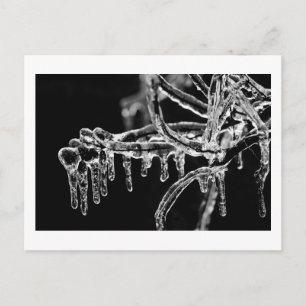 enter icy winter postcard