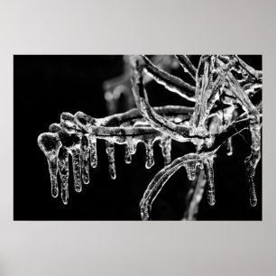 enter icy winter poster