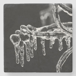 enter icy winter stone coaster