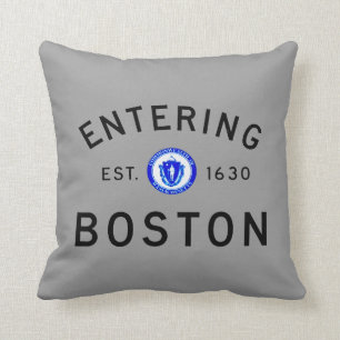 Entering Boston Cushion