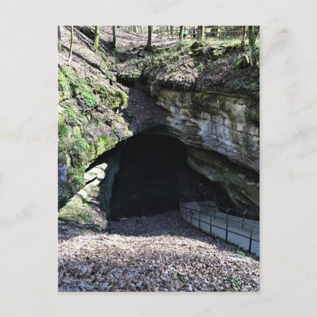 Entering The Cave - Postcard (Front)