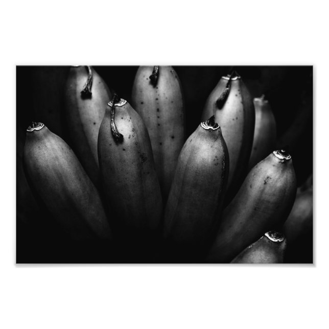 entertaining bunch photo print (Front)