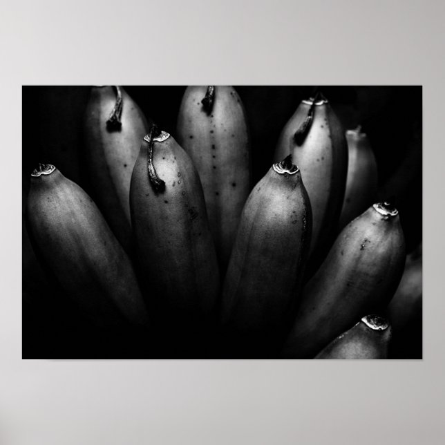 entertaining bunch poster (Front)