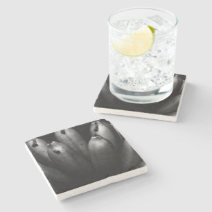 entertaining bunch stone coaster