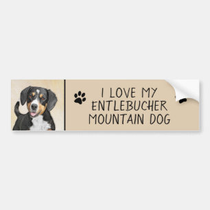 Entlebucher Mountain Dog Painting - Original Art Bumper Sticker