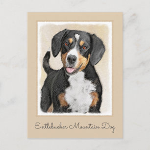 Entlebucher Mountain Dog Painting - Original Art Postcard