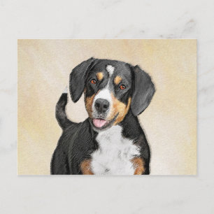 Entlebucher Mountain Dog Painting - Original Art Postcard