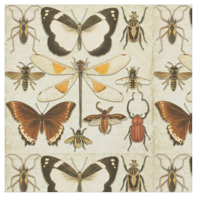 Entomology Butterfly Insects Vintage Old Paper Fabric (Close Up)