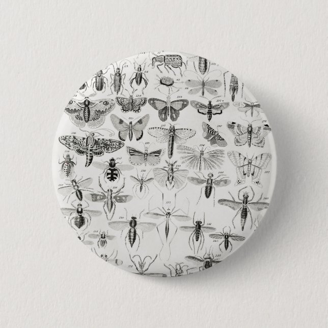 Entomology from A history of the earth and animate 6 Cm Round Badge (Front)