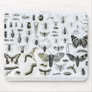 Entomology Mouse Pad