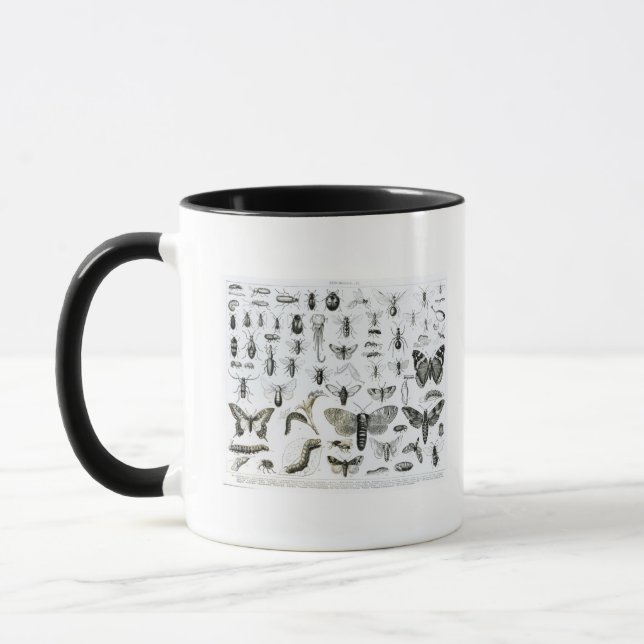 Entomology Mug (Left)
