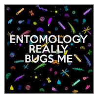 ENTOMOLOGY REALLY BUGS ME Science Joke