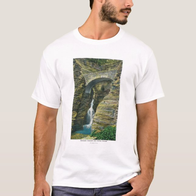 Entrance Cascade and Sentry Bridge View T-Shirt (Front)