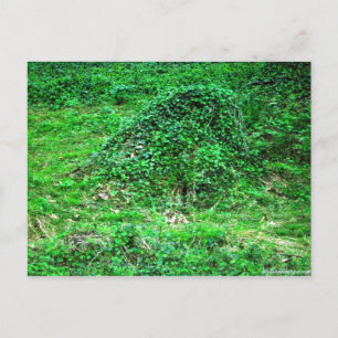 Entrance to Faery I Postcard