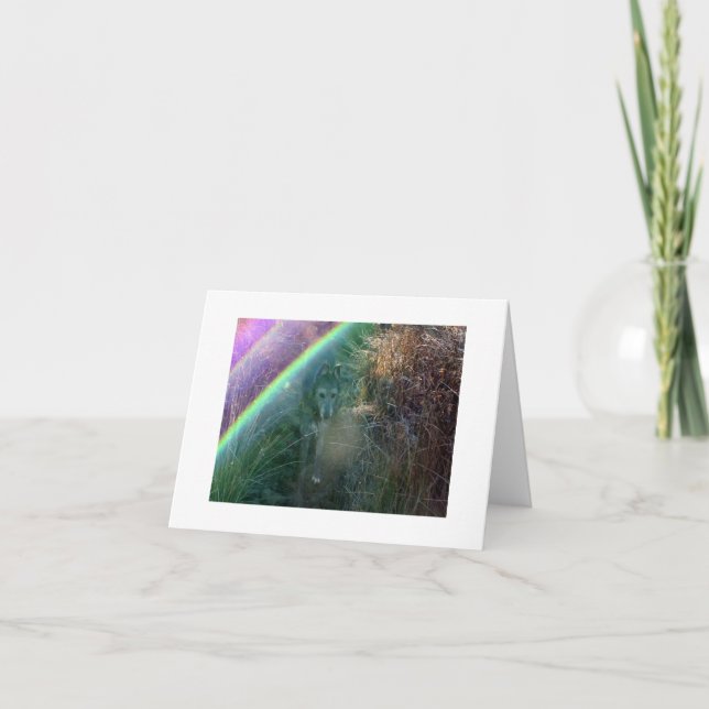 Entrance to Rainbow Bridge Card (Front)