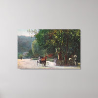 Entrance View to Shady Lane, Horse Carriage