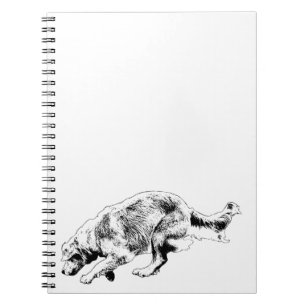 Entry-Hook Favourite, Ideas Inside Notebook