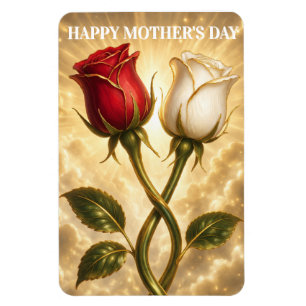 Entwined red and white roses. magnet