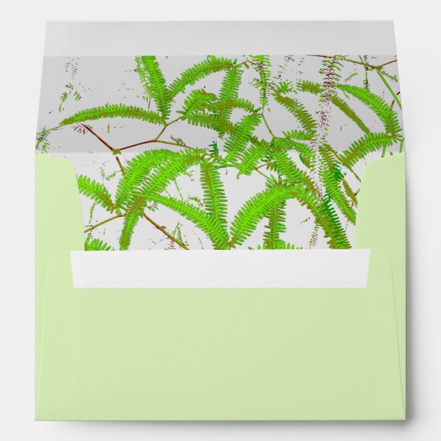 Envelope (Back (Bottom))