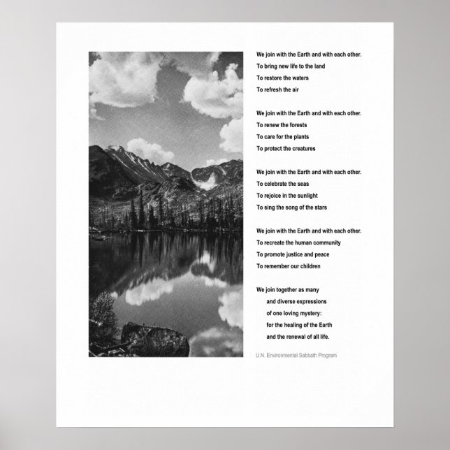 Environmental Earth Day  inspirational poster (Front)