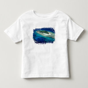 Eori Island, Mamanuca Islands, Fiji - aerial Toddler T-Shirt
