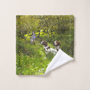 Epagneul Breton, Brittany Spaniel      Bath Towel Set