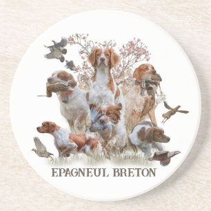 Epagneul Breton, Brittany Spaniel Coaster